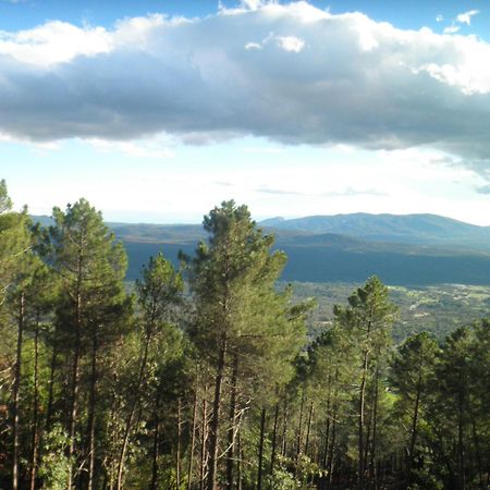 Amatalasvinas Piedralaves Bagian luar foto