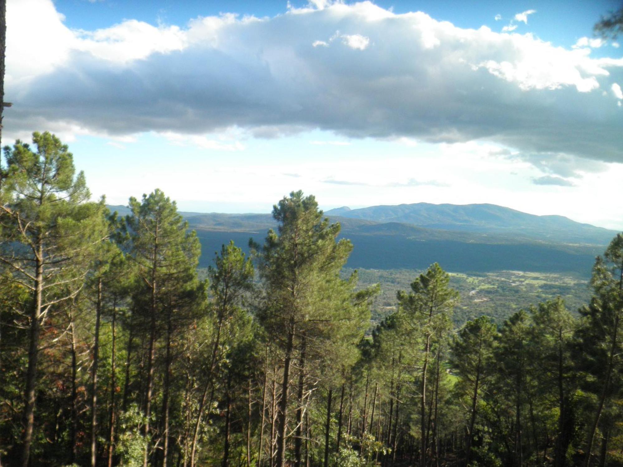 Amatalasvinas Piedralaves Bagian luar foto