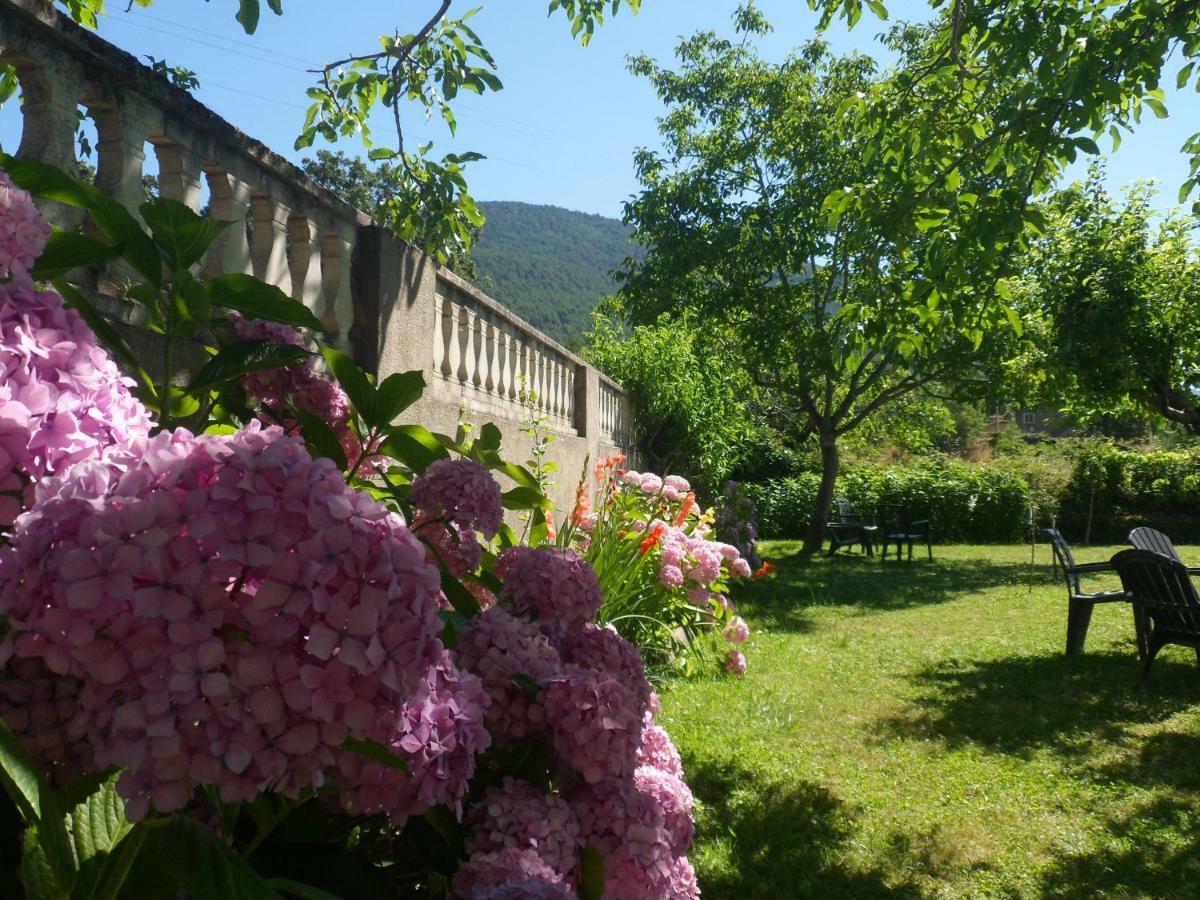 Amatalasvinas Piedralaves Bagian luar foto